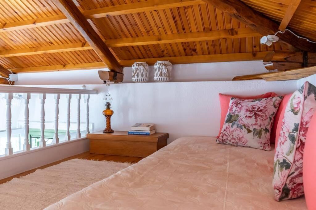 Nina-Myrtia Countryside House Skopelos Ditropo 外观 照片