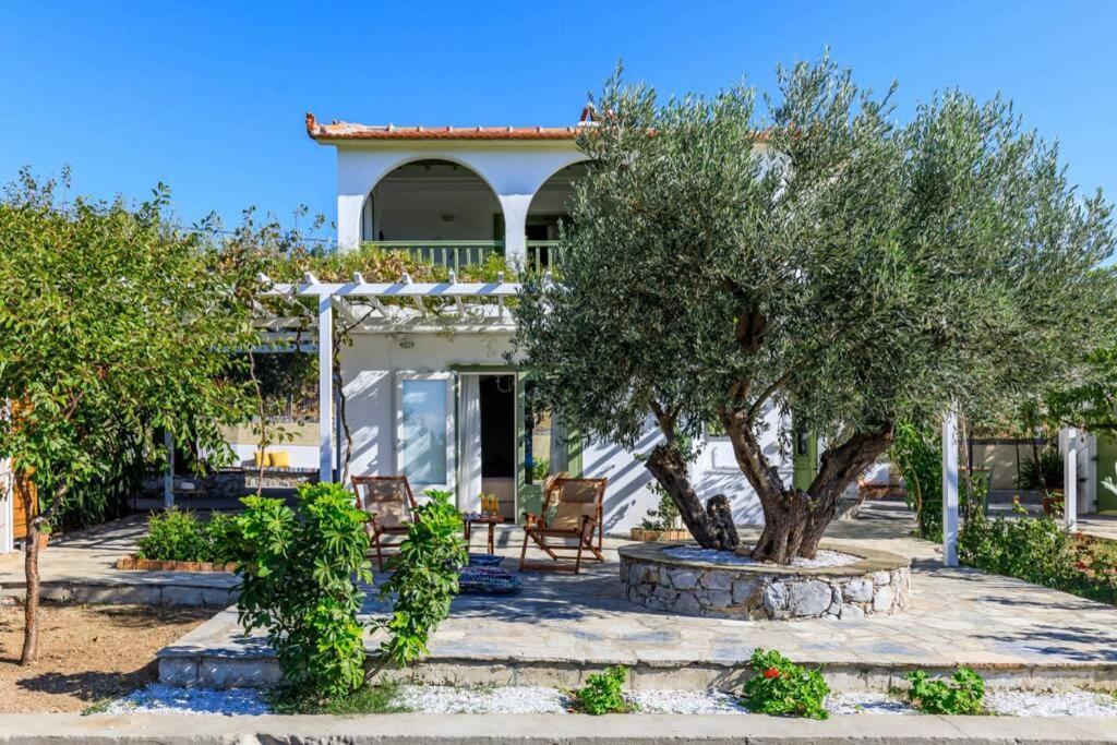 Nina-Myrtia Countryside House Skopelos Ditropo 外观 照片